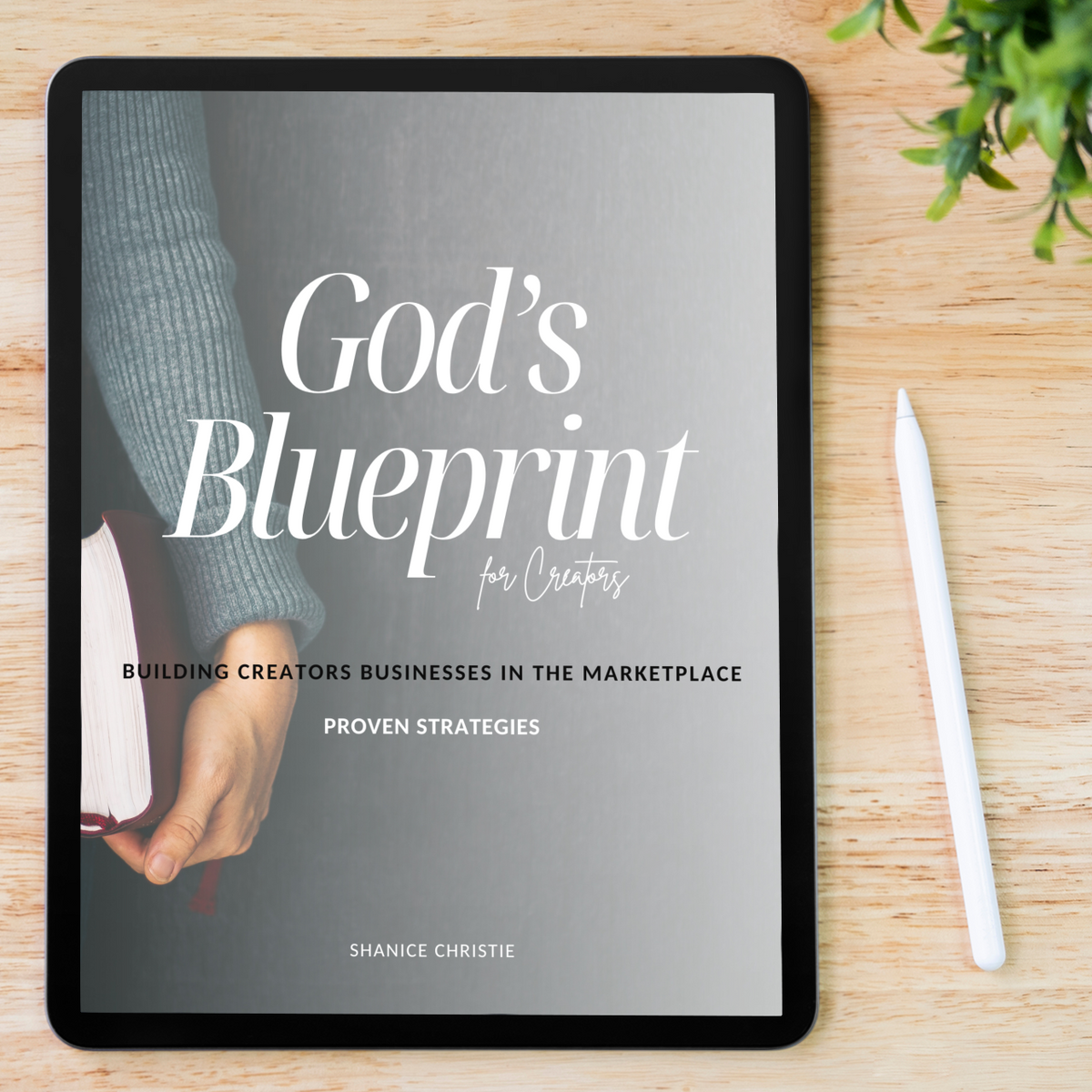 GOD'S BLUEPRINT FOR CREATORS